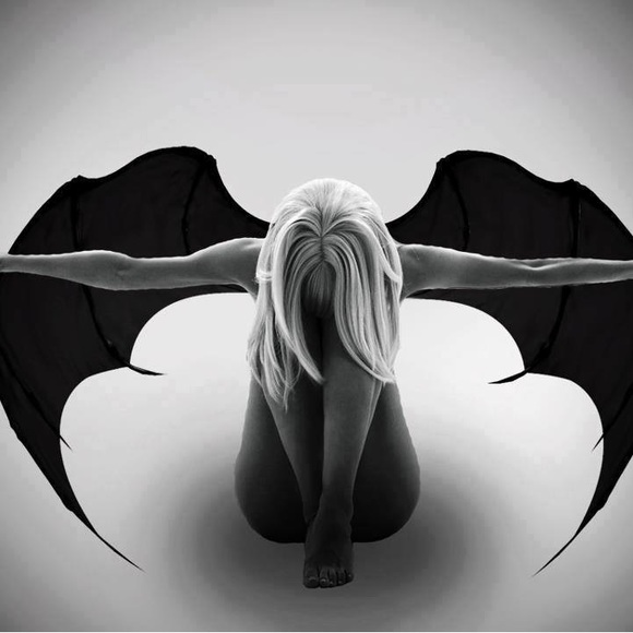 Meet your Posher, Sylvia - Picture 1 of 1